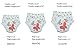 Baby Girls' Training Pants Reusable 5 Pack Toilet Training Underwear Nappy Panties Size 90 2T Medium