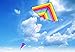 Rainbow Delta Kite for Kids and Adults,Single Line Easy to Fly Kites with Long Tail and Flying Line