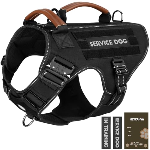 Service Dog Vest