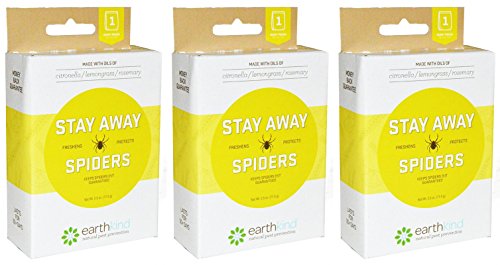 Stay Away Spiders (Pack of 3)