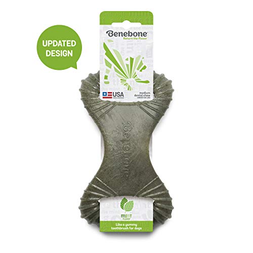 Benebone Dental Dog Chew Toy for Aggressive Chewers, Long Lasting, Made in USA, Medium, Real Mint Flavor