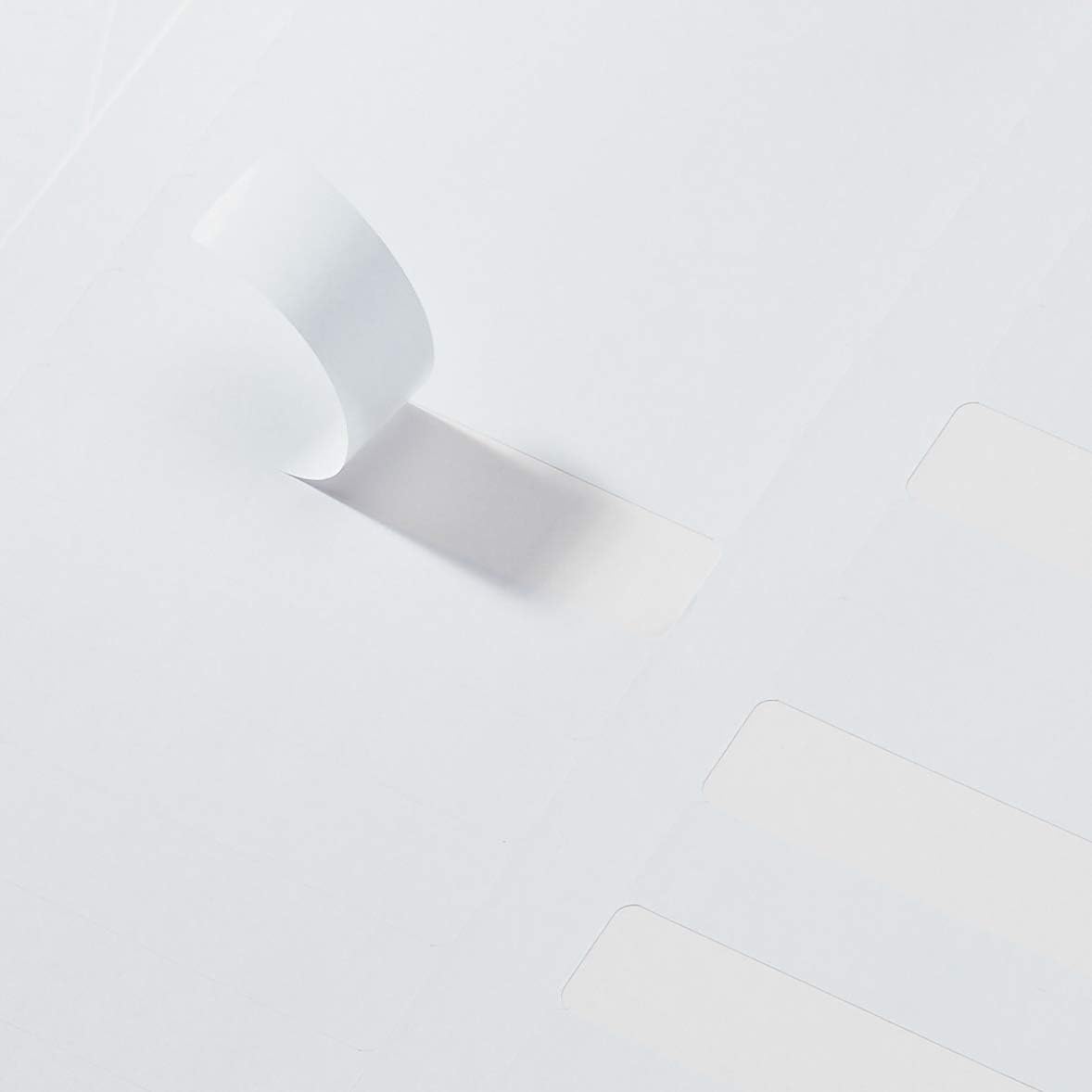 Basics Removable White File Folder Labels, 750-Pack : Office Products