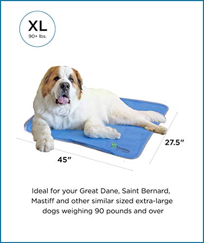 3 Green+Pet+Shop+Cooling+Extra