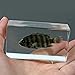 Zebra Tilapia Fish Paperweight (2.9x1.6x1