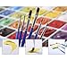 Paint by Numbers for Adults & Kids Easy for Beginner Ages 8-12 Flowers DIY Acrylic Paint Oil Painting on Canvas Drawing Paintwork Paintbrushes Art Crafts Wall Art Decorations 16