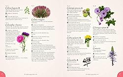 The Complete Language of Flowers: A Definitive and