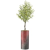 SIGNWIN Olive Tree with White, Red, Black & White Paint Splatter Color Block Vase Abstract Rocky Minimalism Zen Dramatic Multicolor Dark for Living Room, Bedroom, Office - X-Large 5 Feet (60