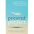 Present Perfect: A Mindfulness Approach to Letting Go of Perfectionism and the Need for Control