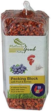 Natures Grub Chicken Pecking Block with Fruit and Berries