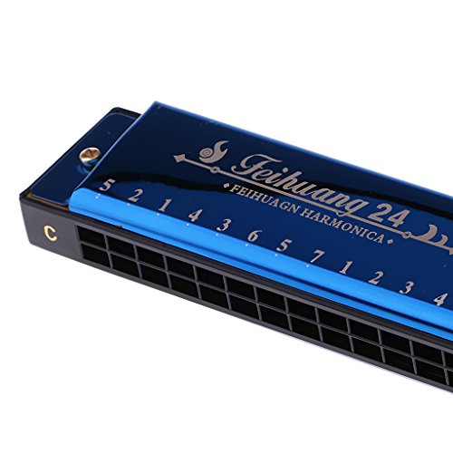image for Jili Online Portable Professional 24 Hole Harmonica Key of C Mouth Org