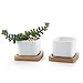 T4U 2 Inch Small White Succulent Planter Pots with Bamboo Tray Square Set of 2, Ceramic Succulent Air Plant Flower Pots Cactus Faux Plants Containers, White Modern Decor for Home and Office