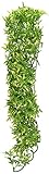 Zoo Med Naturalistic Bush Plant Bolivian Croton, Large