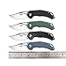 Firebird GANZO FH61-BK Pocket Folding Knife D2 Steel Blade G10 Handle with Clip Hunting Fishing Camping Survival Outdoor EDC Knife (Black)