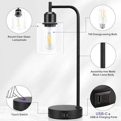 Aooshine Bedside Lamps Set of 2, Industrial Touch Lamps Bedside with USB C+A Charging Ports, Bedside Table Lamps for Bedroom, Black Bedside Lamps with Clear Glass Shade for Living Room(Bulbs Included)