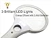 MagniPros 5.5 Inch Extra Large LED Handheld Magnifying Glass with Light - 2X 4X 10X Lens - Best Jumbo Size Illuminated Reading Magnifier for Books, Newspapers, Maps, Coin, Stamp, Jewelry