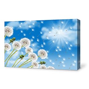 Canvas Wall Art for Living Room,Bedroom Home Artwork Paintings Dandelion Ready to Hang - 12x18 inches