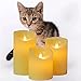 Da by Flameless Candle 4