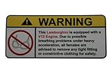Lamborghini V12 No Bra, Warning decal, sticker