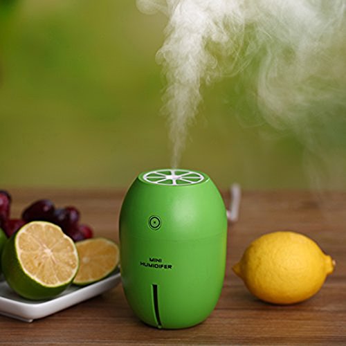 Cool Mist Mini Lemon Humidifier,BIOSTON Portable USB Ultrasonic Small Diffuser with Night Light and Auto Shut-off,Air Purifier for Office,Baby,Travel,Bedroom