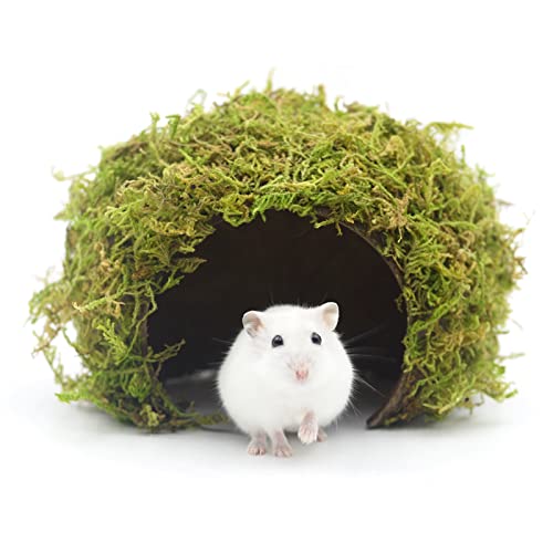 SanmooAio Hamster Hideout