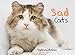 Sad Cats by Barbara Melons