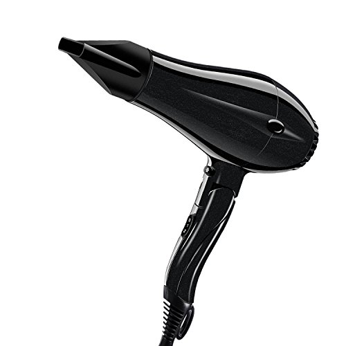 PARWIN PRO 1875W DC Motor Blow Dryer Ionic Ceramic Hair Dryer with Concentrator Nozzle, Black