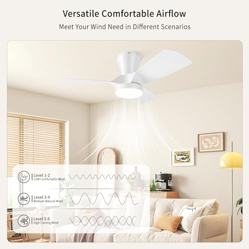 Ventilador de Techo con Luz y Mando 80cm para Techos Bajos, Motor DC Silencioso con Memoria, 6 Velocidades, Regulable 3000-6000K, Temporizador, Reversible Verano/Invierno, Modo Vacaciones, Blanco