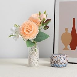 Miukada Small Glass Jars with Cork Lids 120