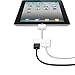 BENGOO iPad Dock to HDMI Digital AV Video Adapter Dock to HDMI HD TV HDTV AV Cable Adapter for iPad 2 3 iPhone 4 4S iPod Touch 4G(Only Compatible with Above iOS 6.0 but Below iOS 8.0)