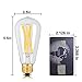Edison Light Bulbs 100 watts,15W Dimmable Led Bulbs, 2700K Warm White 1300LM E26 Medium Base, ST21(ST64) Edison LED Filament Bulbs, 360 Degrees Beam Angle, Pack of 3