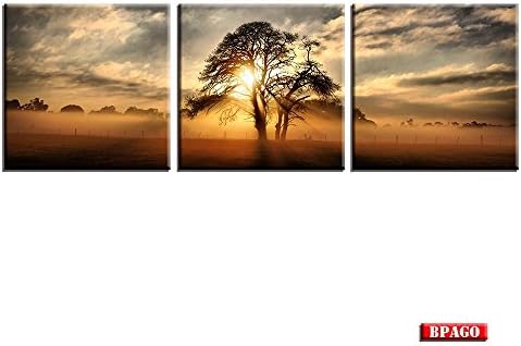 BPAGO Landscape Sunshine Tree Canvas Paintings Wall Art,Lagre Size Stretched and Framed Ready to Hanging for Dinner Room (72 x 24 inch)