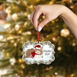 Bicolor Exotic Shorthair Cat Christmas Ornament
