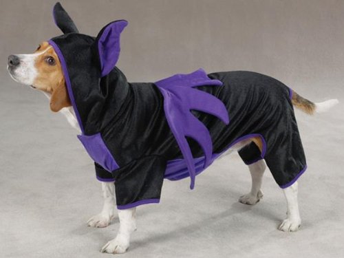 Casual Canine Purple & Black Hooded Flying Bat Dog Halloween Dog Costume w/ Wings Large