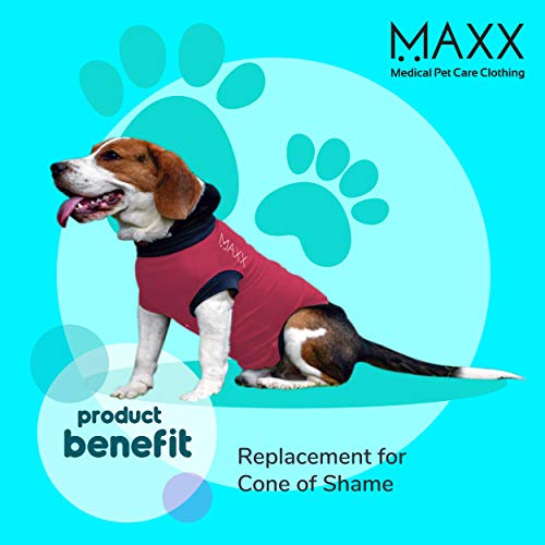 MAXX Dog Medical Pet Clothing, After Surgery Wear For Dogs & Recovery