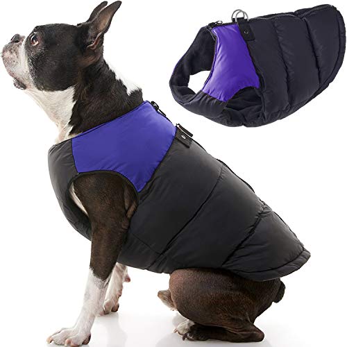 x small dog jacket