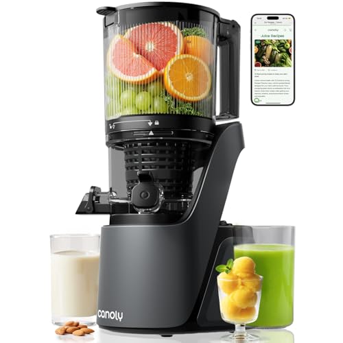 Spremiagrumi con foro di riempimento extra large 150 mm, filtro 3 in 1 (per succo, sorbetto e latte di noci), volume di riempimento 2,6 l, spremiagrumi lento con motore AC, sistema