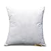 DOZZZ Premium Hypoallergenic Stuffer Pillow Insert Sham Square Form Cushion Polyester 16