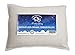 Mother Sheep Organics Organic Wool Toddler and Kids Pillow, Travel Pillow, 14x19