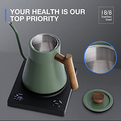 POLIVIAR Electric Gooseneck Kettle, 1200W Electric Tea Kettle w/teak