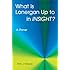 What is Lonergan Up to in "Insight"?: A Primer (Zacchaeus Studies: Theology)