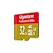 Gigastone 32GB Micro SD Card MicroSD A2 V30 UHS-I U3 C10, 4K UHD Video Recording, 4K Gaming, Read/Write 95/35 MB/s, with MicroSD to SD Adapter for Nintendo Dashcam Gopro Canon Nikon Camera Drone Wyze