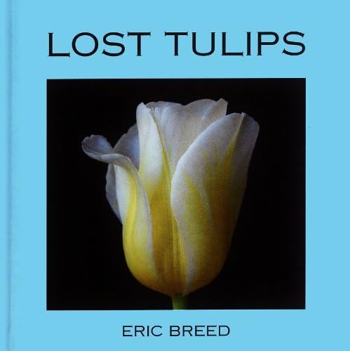 Lost Tulips Hardcover – January 1, 2011