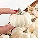 Factory Direct Craft 12 Small Harvest Off White Baby Boo Artificial Pumpkins for Halloween, Fall and Thanksgiving Decorating