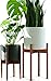 Fox & Fern Mid Century Tall Plant Stand Indoor, Indoor Plant Stand, Tall Plant Stands for Indoor Plants, Plant Holder, Corner Plant Stand - EXCLUDING Plant Pot - Solid Walnut Wood - Fits 10