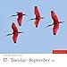 Audubon Birds Page-A-Day Calendar 2019