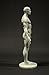 Male Anatomy Figure: 11-inch Anatomical Reference for Artists (Grey) from 3dtotal