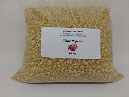 White Popcorn Seeds 10 lbs (ten pounds) Kernels, All Natural, Non-GMO, (for eating not planting), BULK.