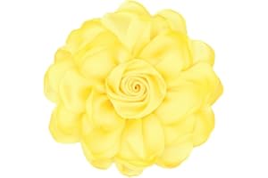 TengRiah Rose Brooch and Pin for Women Elegant Delicate Flower Pin Shawl Clip Duck Beak Clip for Women's Dress Banquet Party Jewelry Gift