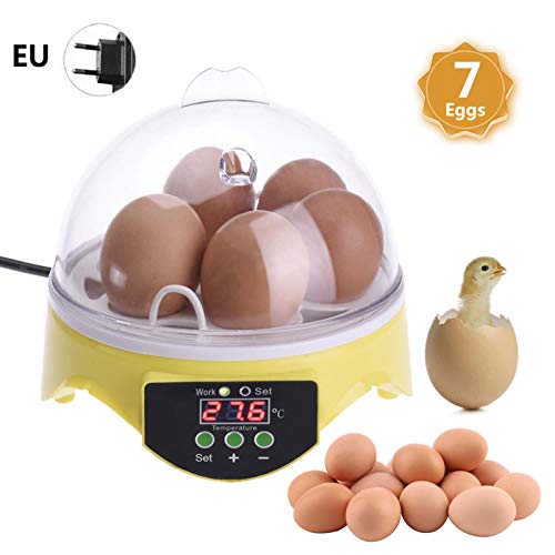 Eier Mini Digital Inkubator Vollautomatische Brutmaschine Brutkasten Temperatur Und Feuchtigkeitsregulierung… – Bild 4