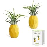 AIEVE Air Plant Holder, 2 Pack Air Plant Pineapple Planter Tillandsia Holder Hanger Geometric Air Plant Holder Stand Display with Magnet for Hanging Air Plants Indoor Wall Home Decor